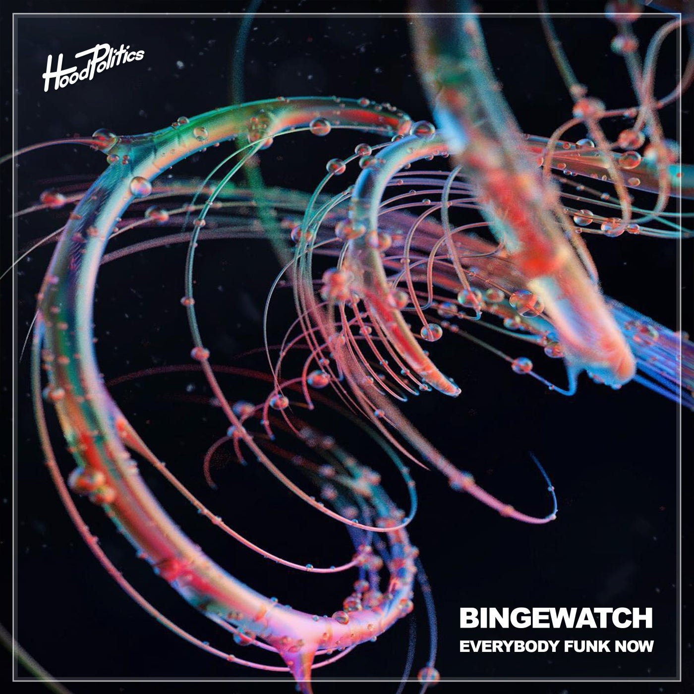 BINGEWATCH - Everybody Funk Now [HP134]